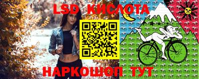 ПСИЛОЦИБИНОВЫЕ ГРИБЫ Гуково