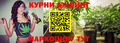 ПСИЛОЦИБИНОВЫЕ ГРИБЫ Гуково