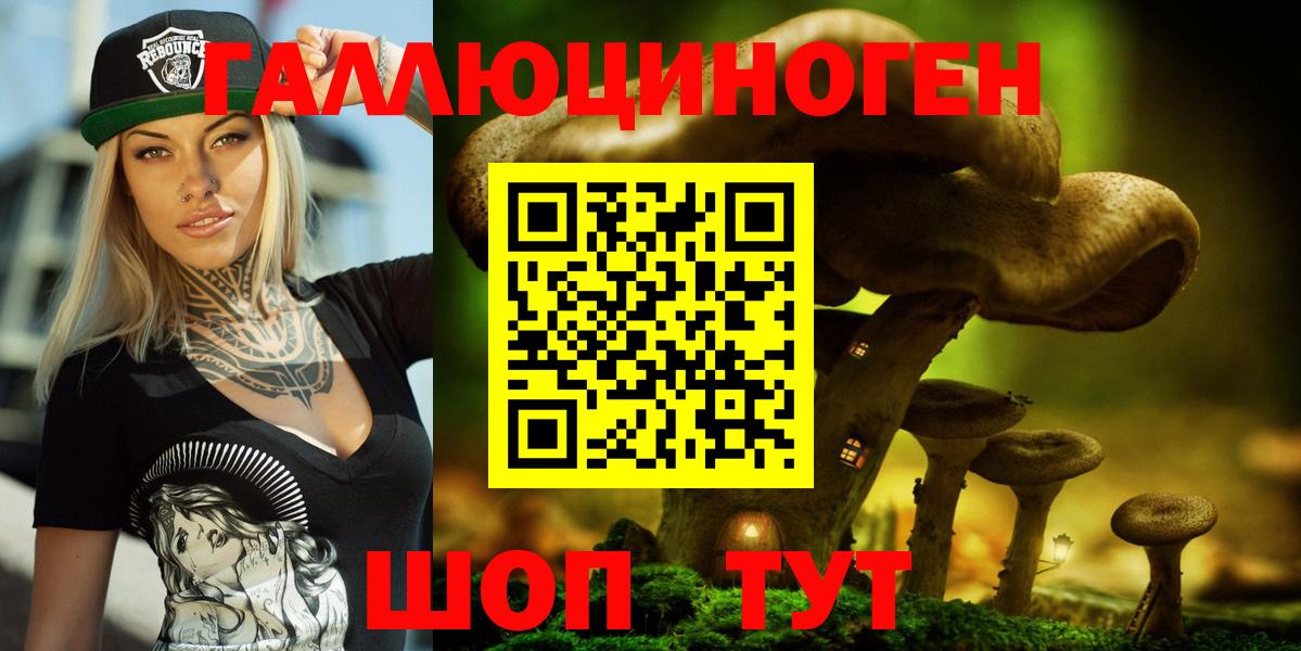 Псилоцибиновые грибы Psilocybine cubensis Алушта